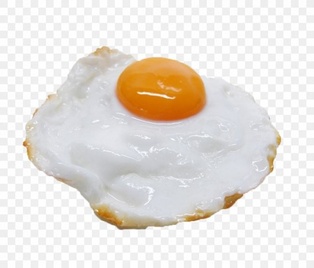 Egg